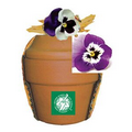 Deluxe Plant Kit with Pansy Seeds